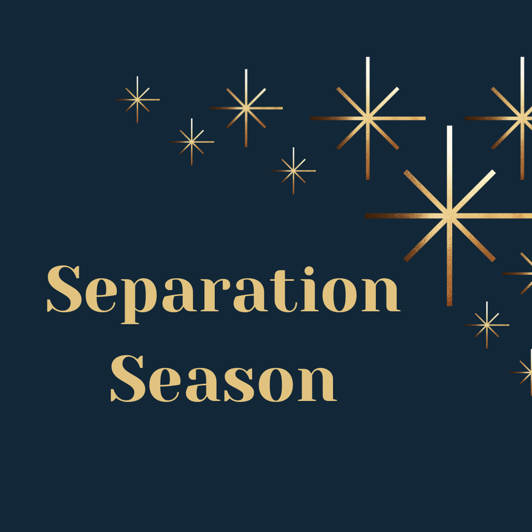 š Fuel Your Success This Year-End: The Art of Separation Season!