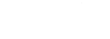 TEAM LEWIS
