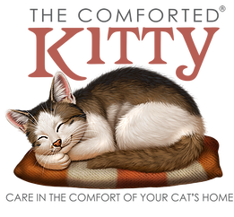 The Comforted Kitty