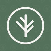 Branch Financial, LLC