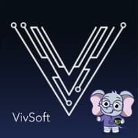 VivSoft Technologies