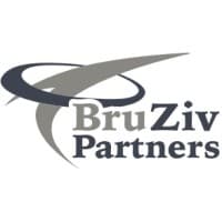 Bruziv Partners LLC
