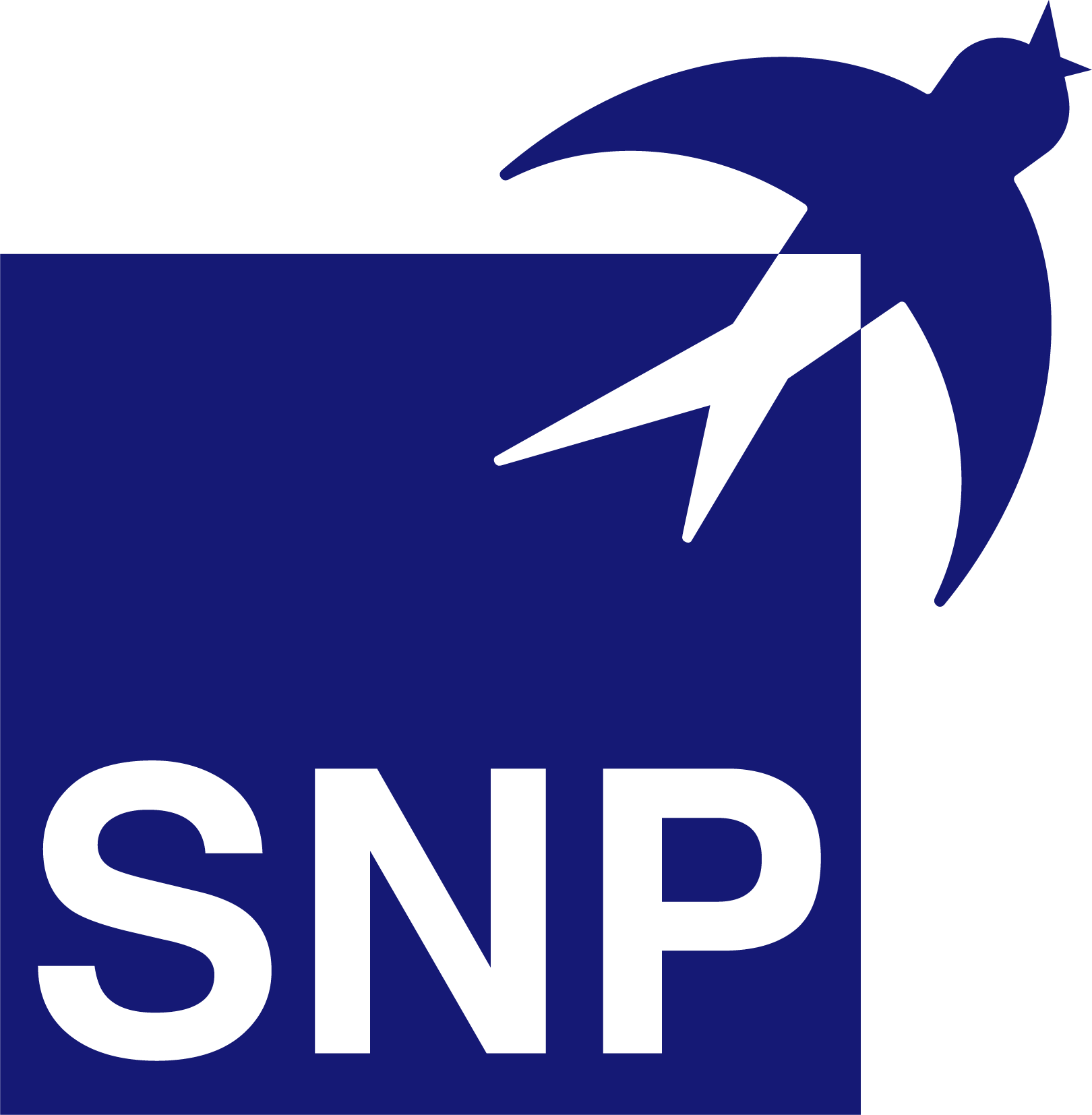 SNP Transformations, Inc.