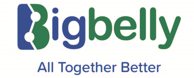 Big Belly Solar LLC