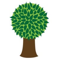 SitterTree