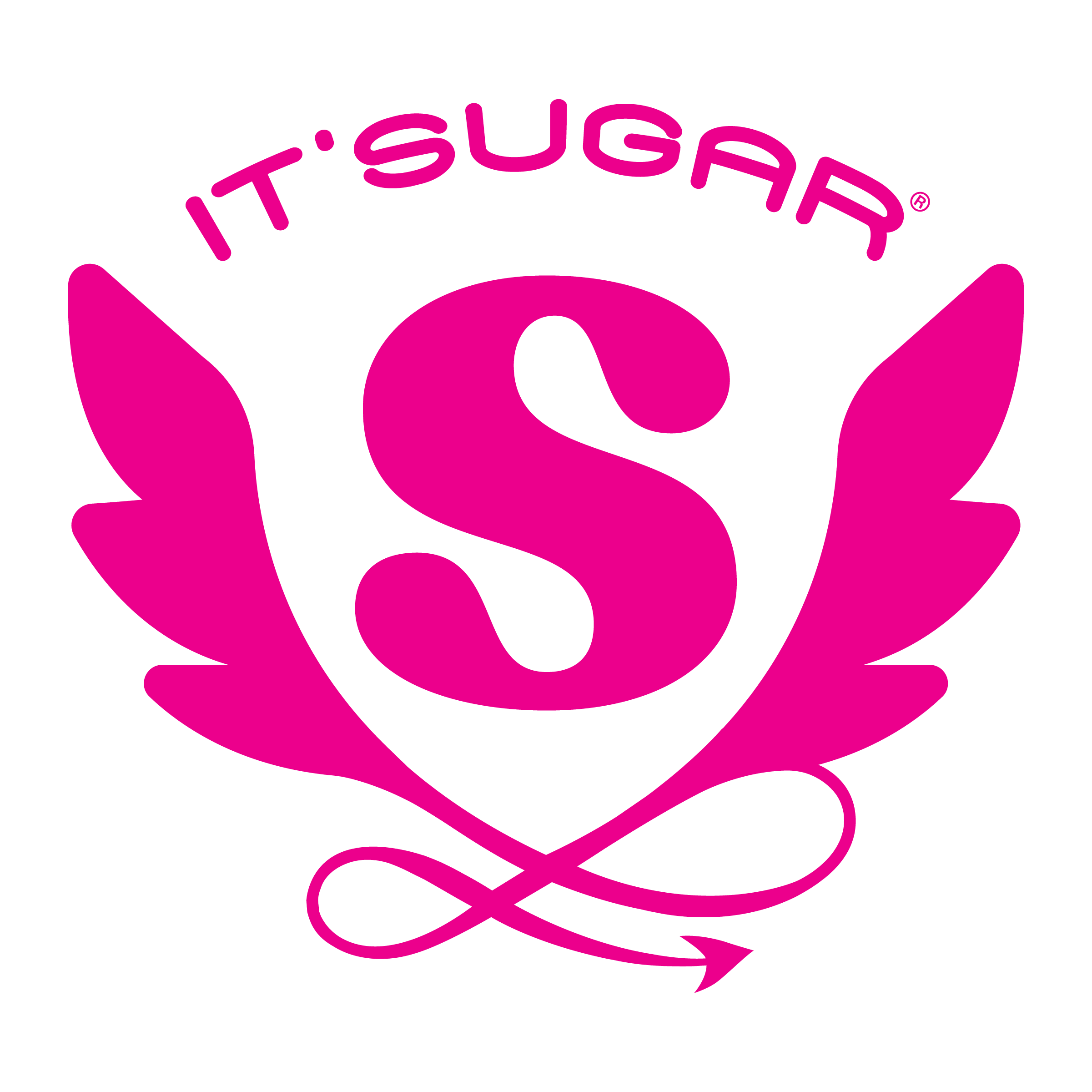 IT'SUGAR LLC