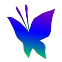 NEWMEADOW INC