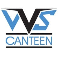 VVS INC