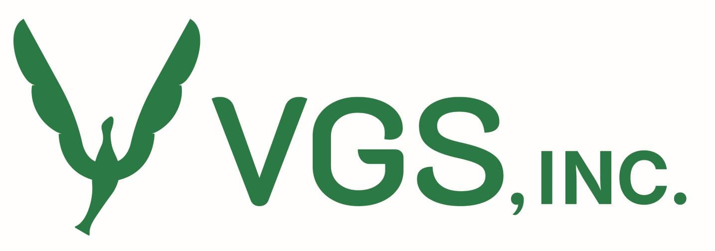 VGS INC