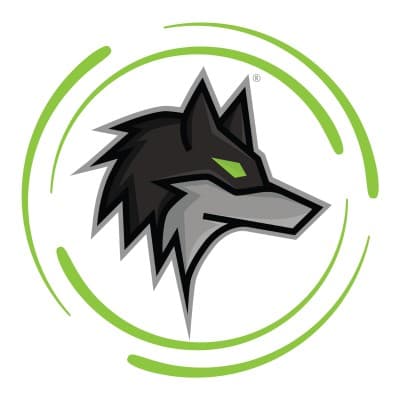 Dark Wolf Solutions
